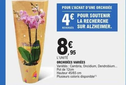 rec  28eimer  pour l'achat d'une orchidée  €  4€  pour soutenir la recherche  reverses sur alzheimer.  ,95  l'unité  orchidées variées  variétés: cambria, oncidium, dendrobium... pot de 12cm  hauteur 