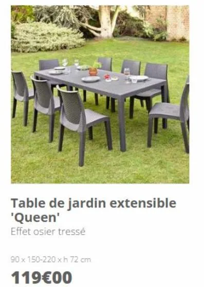 table de jardin 
