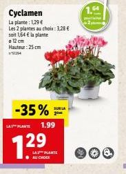 Cyclamen La plante: 1,29 €  Les 2 plantes au choix: 3,28 €  soit 1,64 € la plante  a 12 cm Hauteur: 25 cm  51294  -35%  LA PLANTE 1.99  SUR LA 2M  LA PLANTE AU CHOIX  1.64  2 