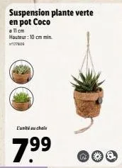 suspension plante verte en pot coco  a 11 cm hauteur: 10 cm min. 177809  l'unité au choix  7.99  n* 