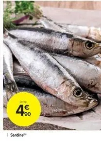 lan  4€  sardine 