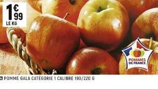 199  le kg  pomme gala catégorie 1 calibre 190/220 g  pommes de france 