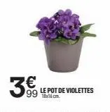 3€  99x16cm le pot de violettes 