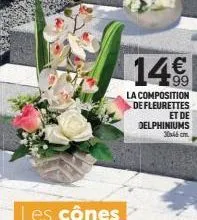 les cônes  14€  la composition de fleurettes  et de  delphiniums 30x46 cm 
