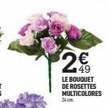 ~  LE BOUQUET DE ROSETTES MULTICOLORES 24 cm.  53 