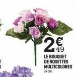 ~  le bouquet de rosettes multicolores 24 cm.  53 