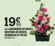 199  la jardinière de roses, boutons de roses, gerberas et ficus 52x20x2 cm 