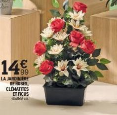 14€  LA JARDINIERE DE ROSES, CLÉMATITES ET FICUS 4x20x54cm 