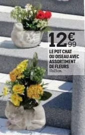 12€  le pot chat ou oiseau avec assortiment de fleurs 17x23cm 