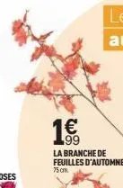 1€  la branche de feuilles d'automne  75cm. 