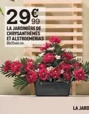 29€  la jardinière de chrysanthemes et alstroemerias 8b25x46cm  