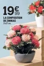 19%  la composition de zinnias 31x27cm. 