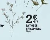 2€  la tige de gypsophiles  64 cm 