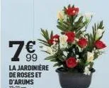 75⁹  la jardiniere de roses et d'arums 37x23 cm 