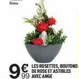 € les  de rose et astibles  99 avec ange 