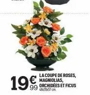 la coupe de roses, €magniolias, 99 bom orchidées et ficus  19€ 