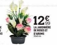 12€  LA JARDINIÈRE DE ROSES ET D'ARUMS 12a45 cm. 