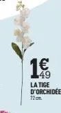 1€  la tige d'orchidées  72cm. 