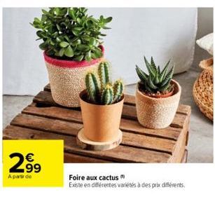 2.99  A partir de  Foire aux cactus  Existe en différentes variétés à des prix différents. 