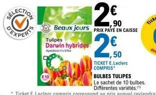 tulipes darwin hybrides  apeldoorn's ete  20  ,50  ticket e.leclerc compris  bulbes tulipes  le sachet de 10 bulbes. différentes variétés.(¹) 