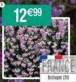 12 €99  france  bretagne (29) 