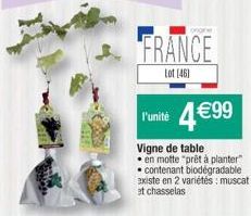 FRANCE  Lot (46)  l'unité 4€99  Vigne de table  en motte "prêt à planter" contenant biodégradable existe en 2 variétés: muscat et chasselas 