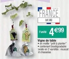 france  lot (46)  l'unité 4€99  vigne de table  en motte "prêt à planter" contenant biodégradable existe en 2 variétés: muscat et chasselas 