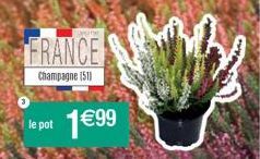 FRANCE  Champagne (51)  le pot  1€99 
