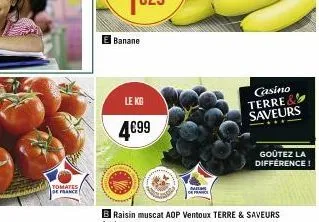 tomates  de france  banane  le kg  4€99  casino terre & saveurs  goûtez la différence! 