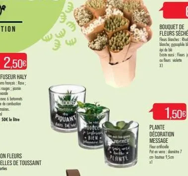 3  adore  mettre  piquant  fars tay  bestrian  bien mentre la  sia per  menti  ete  plante  plante décoration  message  fleur artificielle  pot en verre: damitre 7 cm hauteur 9,5cm  1,50€ 