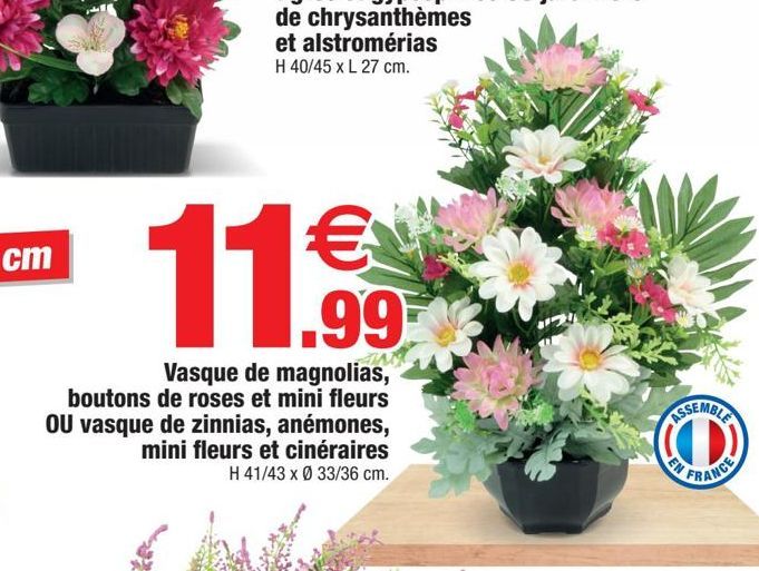 Vasque de magnolias, boutons de roses et mini fleurs, OU vasque de zinnias, anemones, mini fleurs et cineraires
