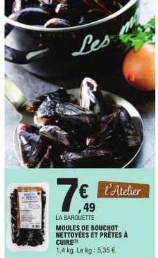 moules 