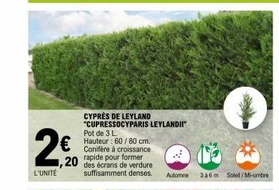 l'unité  cyprès de leyland "cupressocyparis leylandi!" pot de 3 l.  € : cm.  ,20  conifère à croissance rapide pour former des écrans de verdure suffisamment denses.  automne 336 m soleil/mi-ombre 