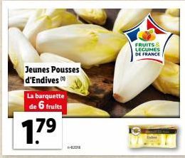 Jeunes Pousses d'Endives  La barquette de 6 fruits  FRUITS & LEGUMES DE FRANCE 