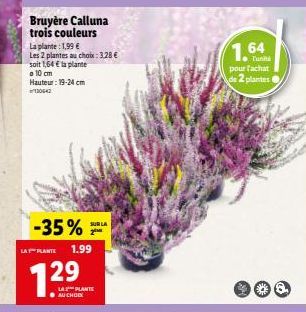 Bruyère Calluna trois couleurs  La plante: 1,99 € Les 2 plantes au choix: 3,28 €  soit 1,64 € la plante  o 10 cm  19-24 cm  Hauteur:  30642  -35%  LA PLANTE 1.99  729  SUR LA 2⁰  LA PLANTE AU CHOIX  1