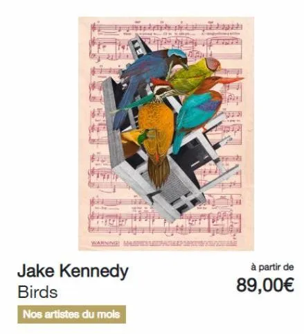 1915  warning  jake kennedy  birds  nos artistes du mois  à partir de  89,00€  