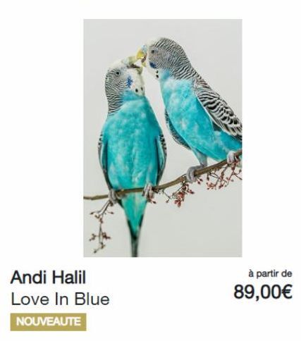 Andi Halil Love In Blue  NOUVEAUTE  à partir de 89,00€   offre sur YellowKorner