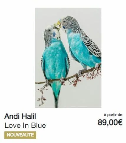 andi halil love in blue  nouveaute  à partir de 89,00€  