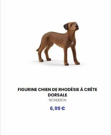 figurine chien de rhodésie à crête  dorsale schleich 6,99 € 