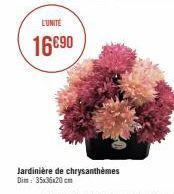 L'UNITE  16690  Jardinière de chrysanthèmes Dim: 35x35x20cm 