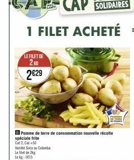 le filet de 2kg  2€29  b pomme de terre de consommation nouvelle récolte  spéciale frite  cat 2, cal+50  variété sirco ou colomba  le filet de 2kg le kg: 115  pommes yu france 