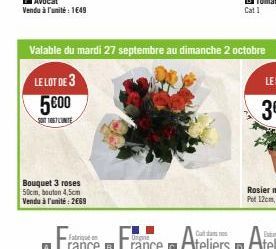 Bouquet 3 roses 50cm, bouton 4,5cm Vendu à l'unité : 2669  Valable du mardi 27 septembre au dimanche 2 octobre  LE LOT DE 3  5600  SOUT1067 LUNITE 