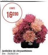 L'UNITÉ  16€90  Jardinière de chrysanthèmes Dim: 35x36x20 cm 