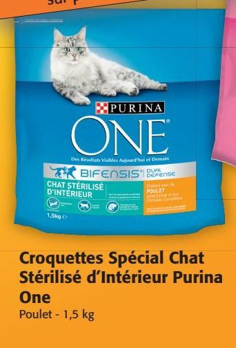 Croquettes Spécial chat Stérilisé d'intérieur Purina One