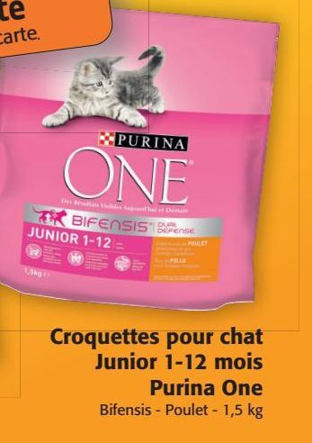 Croquettes pour chats JUNIOR 1-12 mois Purina One