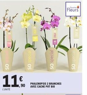 OS  11€  L'UNITÉ  jepads OS  PHALENOPSIS 2 BRANCHES 1,90 AVEC CACHE POT BIO  R1- SO special  Fleurs  SO special 
