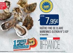 1 FIXEEZ  offert pre  LE KG  7,95€  HUÎTRE FINE DE CLAIRE MARENNES OLERON N°3 IGP  la bourriche  FRANCE 