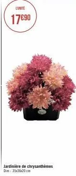 l'unite  17€90  jardinière de chrysanthèmes dim: 35x36x20cm 
