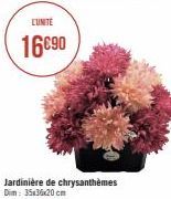 L'UNITÉ  16€90  Jardinière de chrysanthèmes Dim: 35x36x20 cm 