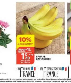 10%  à cagnotter  déduite  € le kg  prix payé  en caisse  banane cavendish  (a) origine (b) transformé en  france 